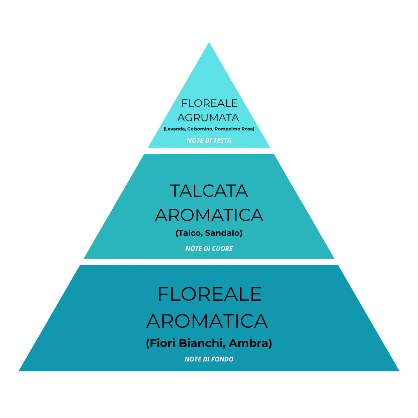 Essenza Bucato Coccole N°13 – Super Concentrato, Profumo Dolce e Accogliente