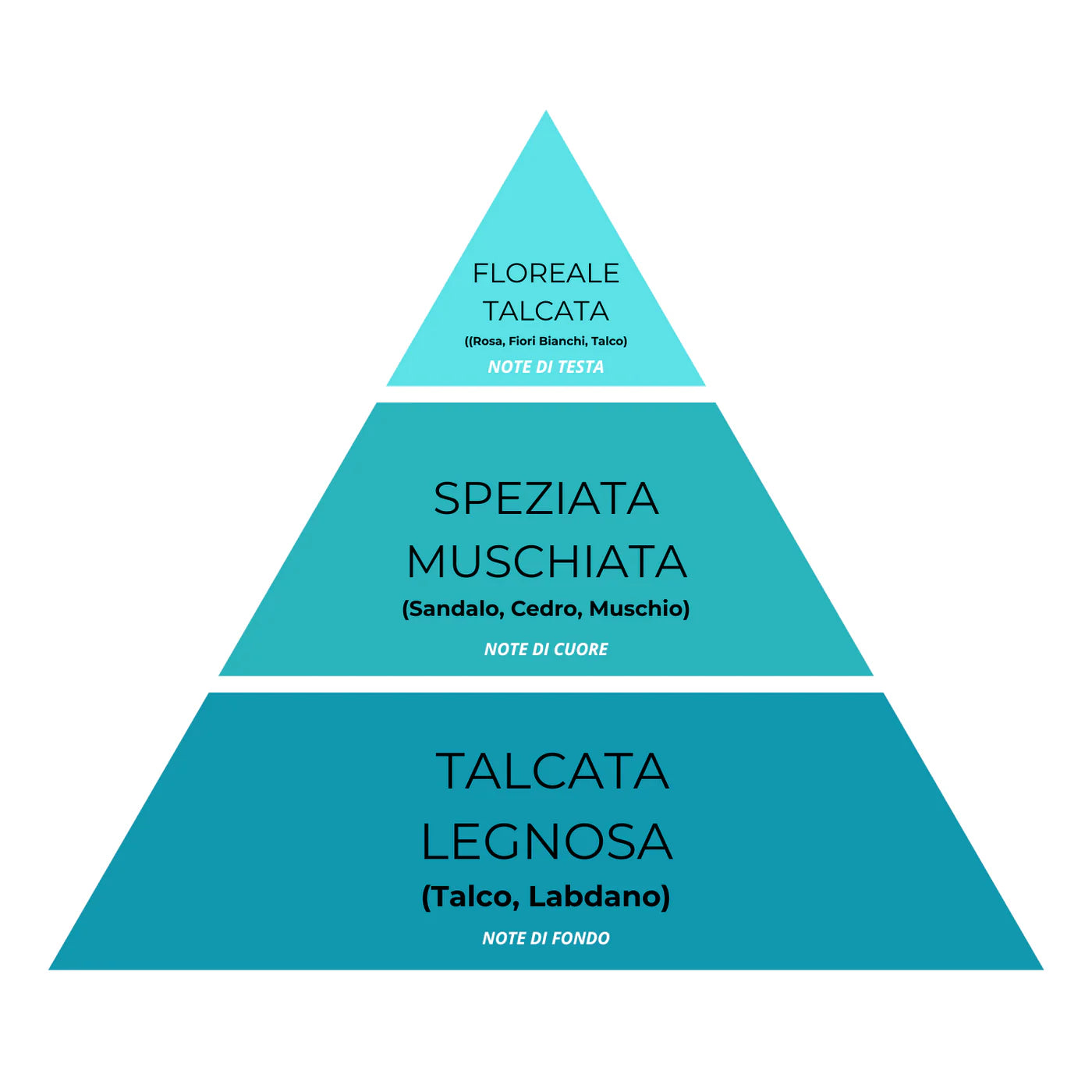 Essenza Bucato Cotone N°05 – Super Concentrato, Profumo Fresco e Morbido