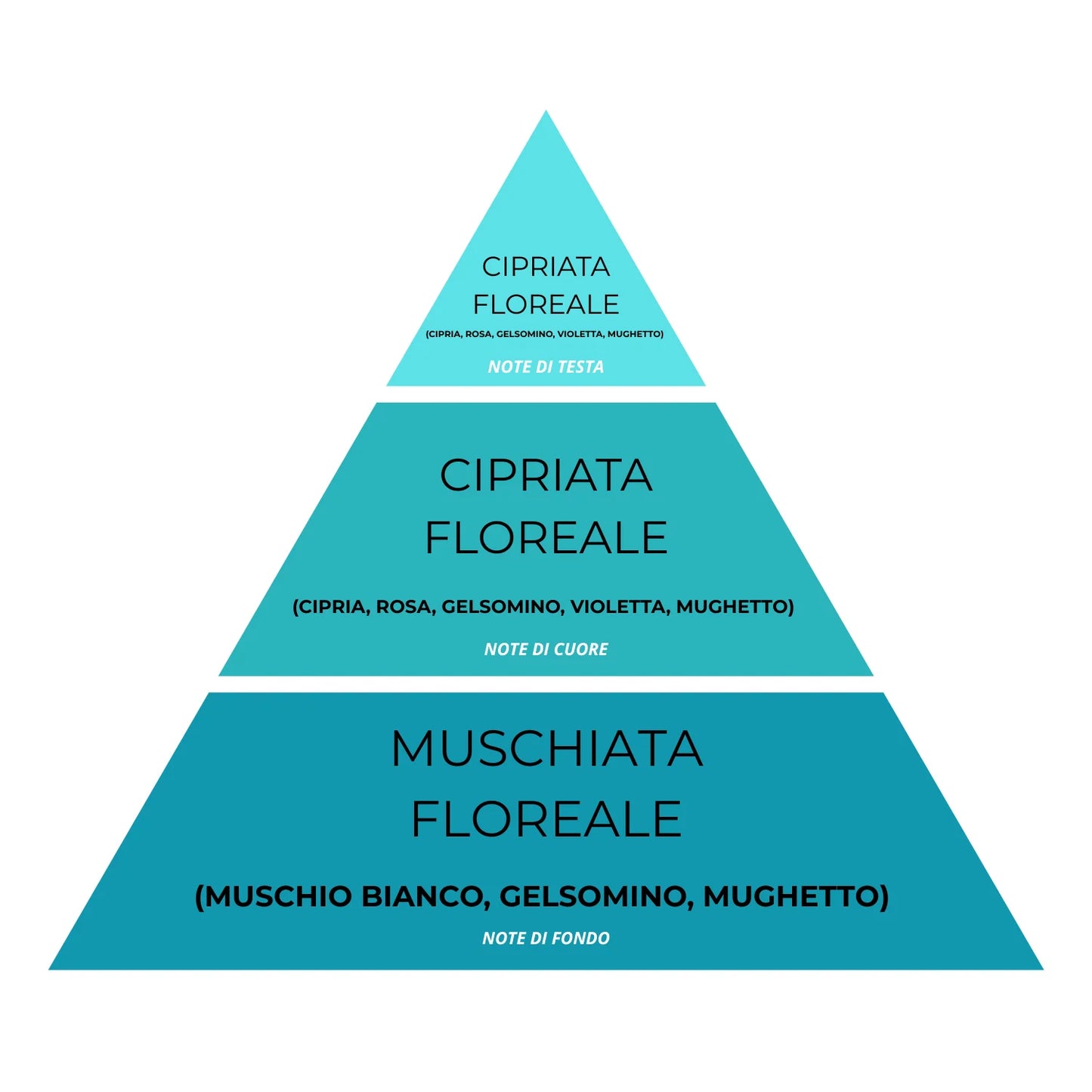 Essenza Bucato N°01 – Super Concentrato, Profumo Fresco e Pulito