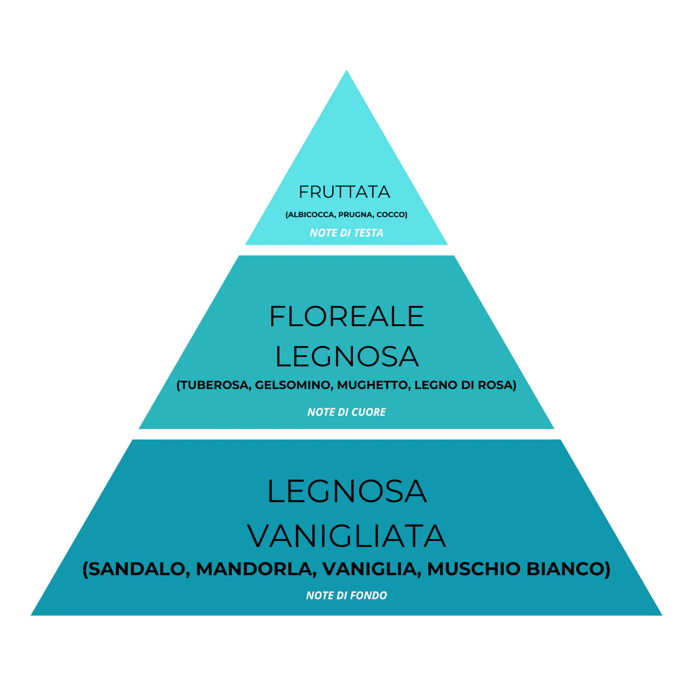 Essenza Bucato Hypnotico N°12 – Super Concentrato, Profumo Sensuale e Avvolgente