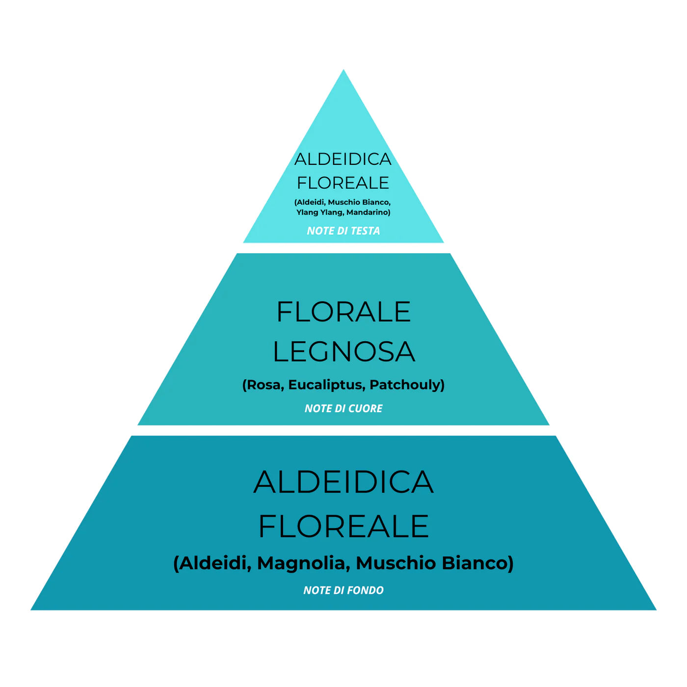 Essenza Bucato Le Blue N°25 – Super Concentrato, Profumo Fresco e Mediterraneo