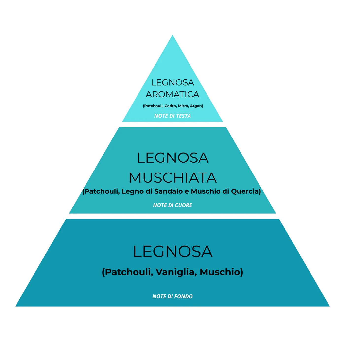 Essenza Bucato Monodose Super Concentrata – Patchouly Argan 17