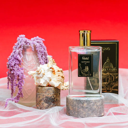 Nettuno - Equivalente Megamare