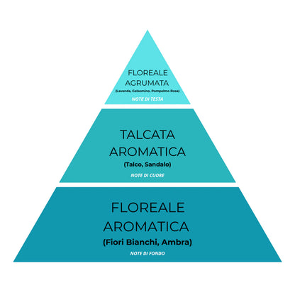 Essenza Bucato Coccole N°13 – Super Concentrato, Profumo Dolce e Accogliente