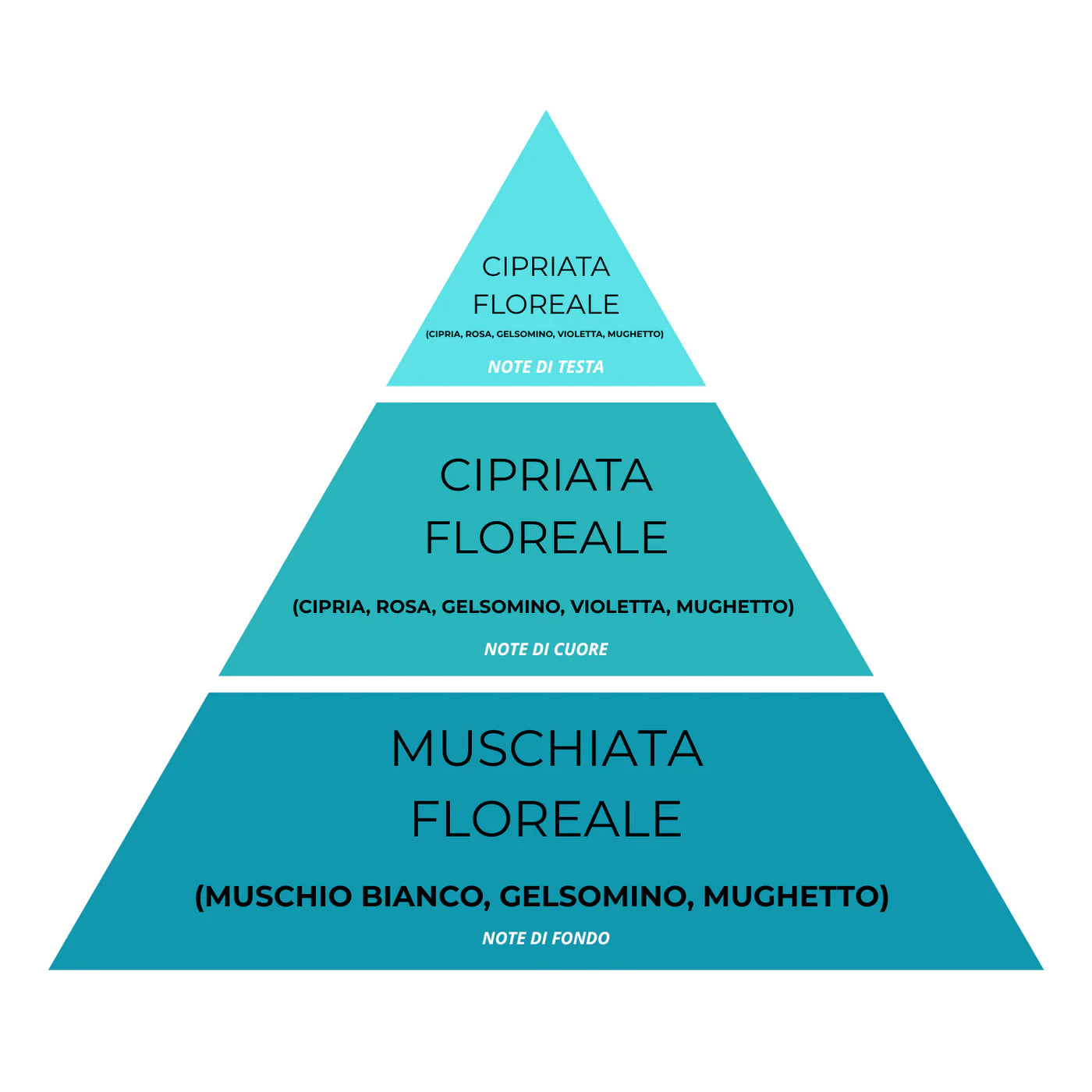 Essenza Bucato Monodose Super Concentrata – Essenza Bucato 01
