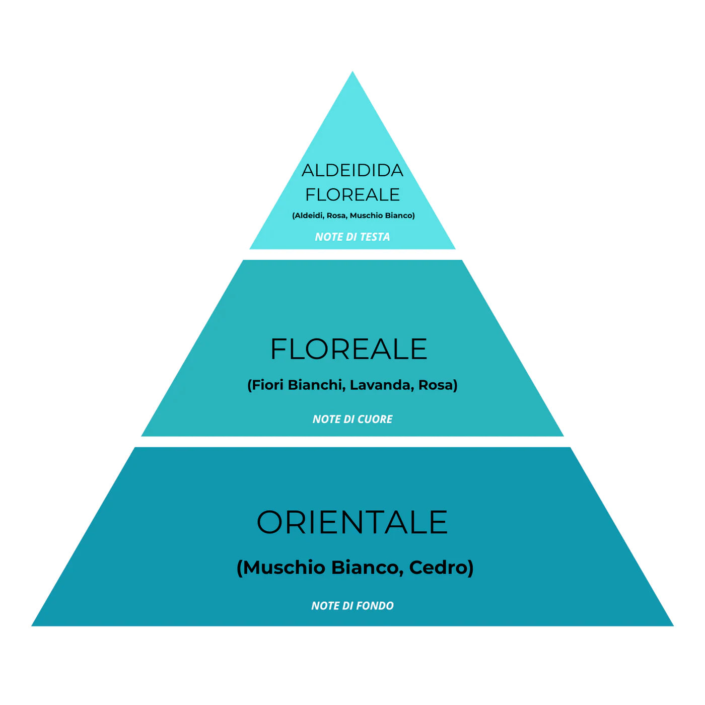 Essenza Bucato Monodose Super Concentrata – Fiori di Loto 19