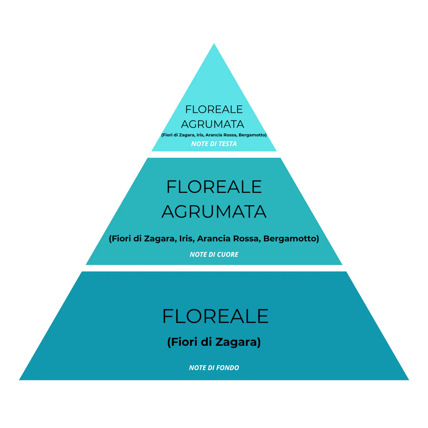 ❤️ TRA LE ESSENZE PIÙ AMATE Essenza Bucato Fresco Bucato N°15 – Super Concentrato, Profumo Pulito e Vivace