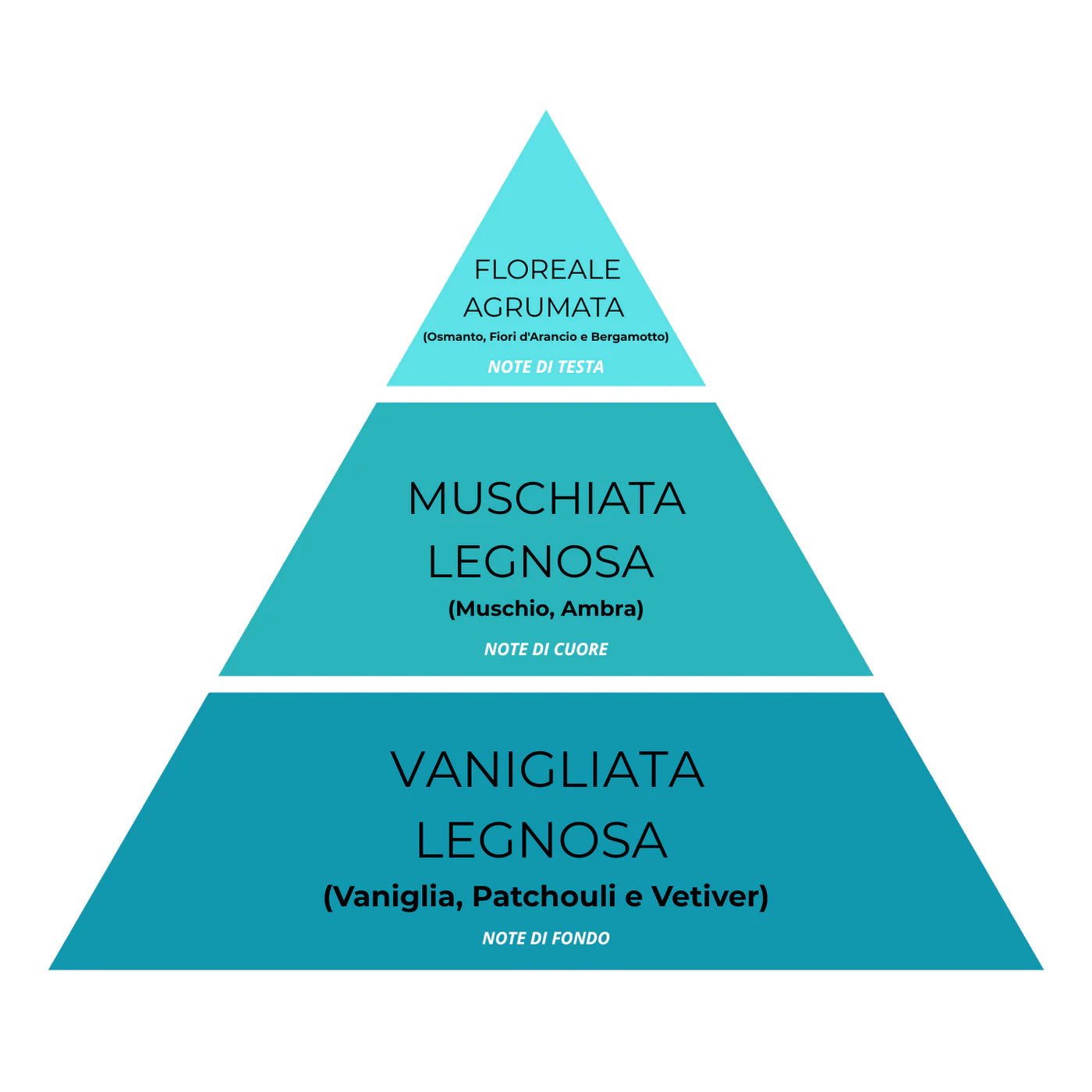 Essenza Bucato Monodose Super Concentrata – Fiore di Narciso 14