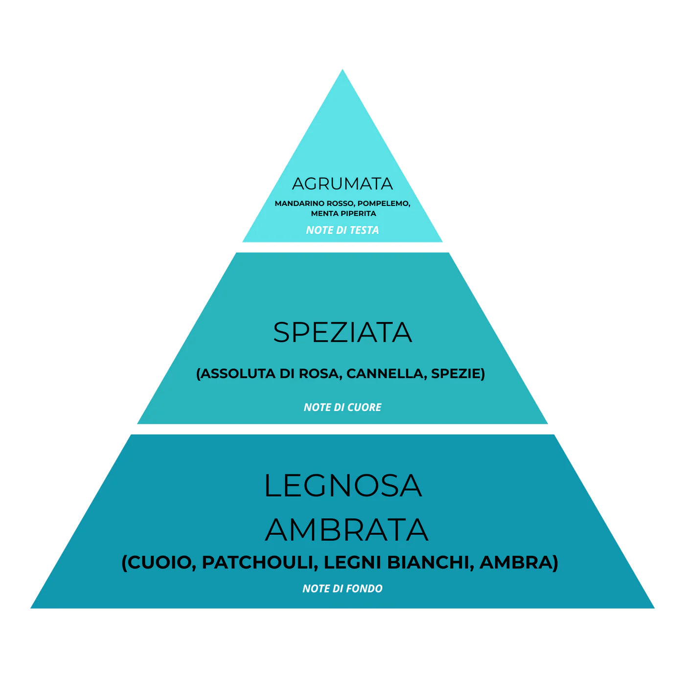 Essenza Bucato Oro Velato N°09 – Super Concentrato, Profumo Intenso e Raffinato