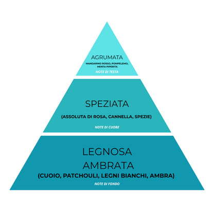 Essenza Bucato Oro Velato N°09 – Super Concentrato, Profumo Intenso e Raffinato
