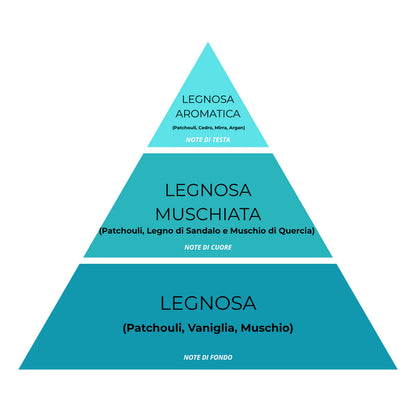 Essenza Bucato Monodose Super Concentrata – Patchouly Argan 17