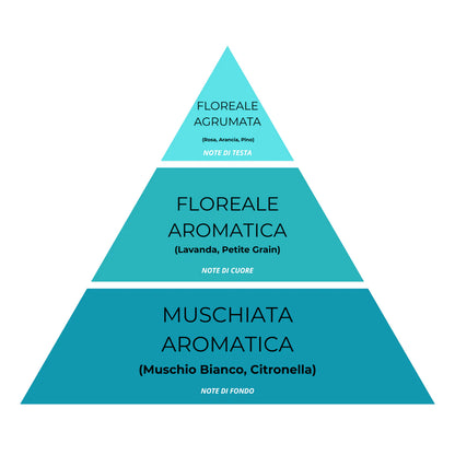 Spray Tessuti & Ambiente Super Concentrato – Soffio Talcato 26